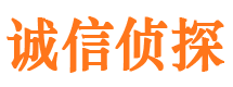 四川外遇调查取证